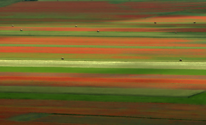 Castelluccio di ruggeri alessandro