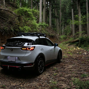 CX-3 DK5FW