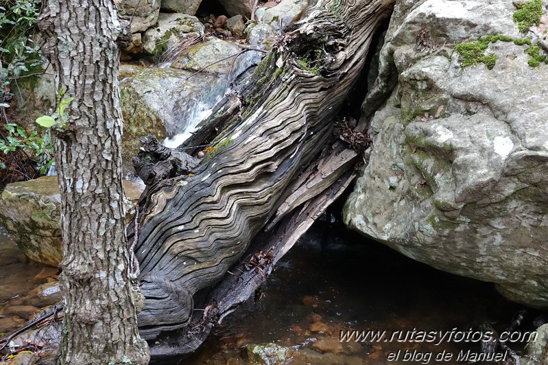 Cascadas del río de los Molinos - Tajo de la Corza - Llanos del Juncal - Pico Luna - Sendero de los Calabozos