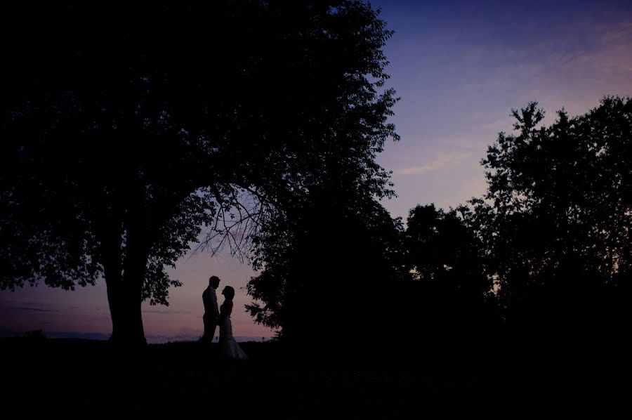 Wedding photographer Stacey (staceypa). Photo of 30 December 2019