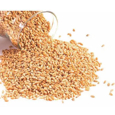 Unb Sharbati Wheat - 1 kg