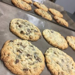 Oatmeal Chocolate Chip Cookie