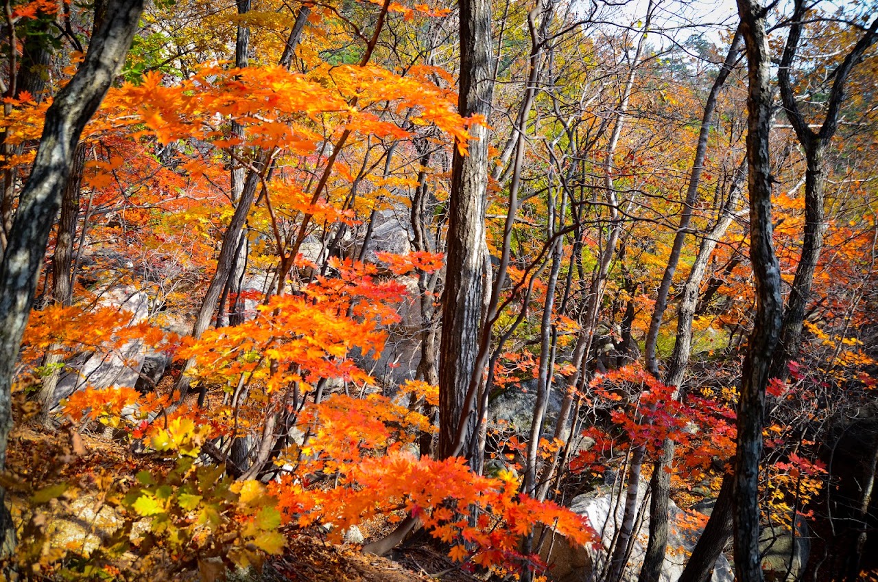 Осенняя Корея 2016. Сеул, олимпиада, Сораксан и много интересного в провинции Канвондо