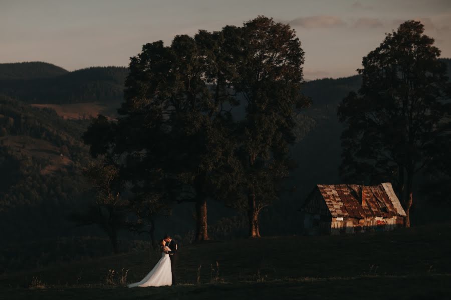 Fotógrafo de casamento Nikolay Chebotar (cebotari). Foto de 12 de março 2019