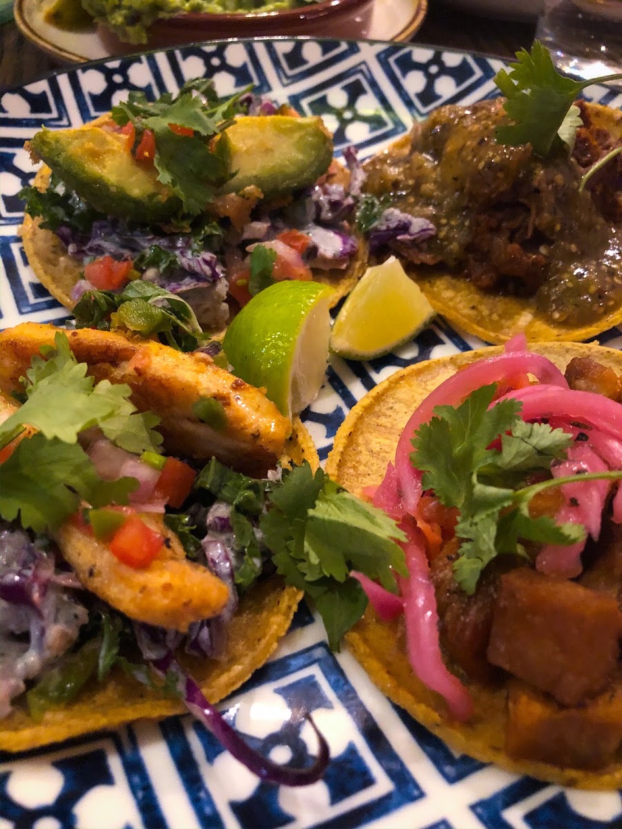 Pork Belly, Tempura Avocado, Mahi Mahi and Carnitas tacos