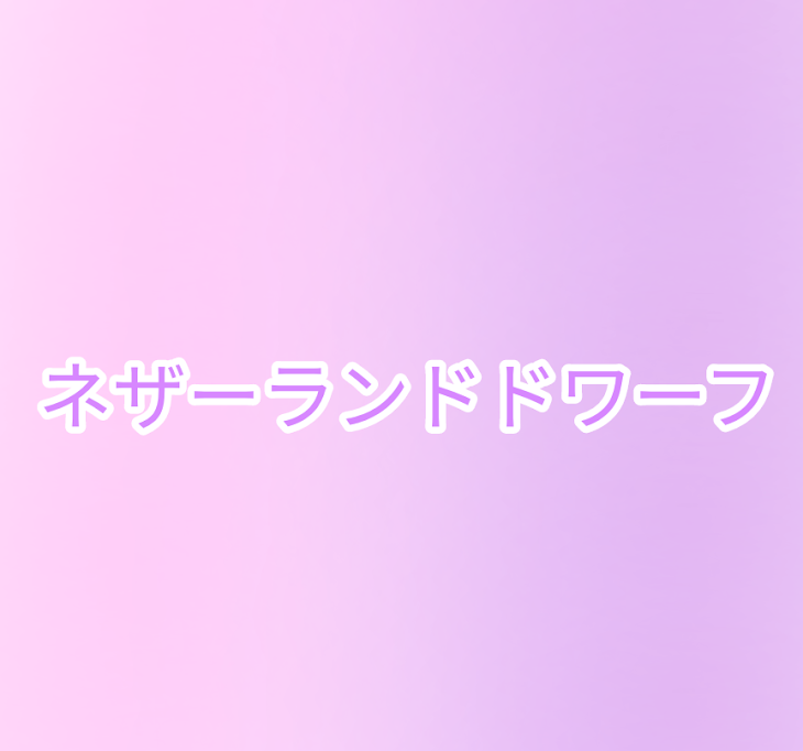 「ネザーランドドワーフ【🍣🐇】」のメインビジュアル