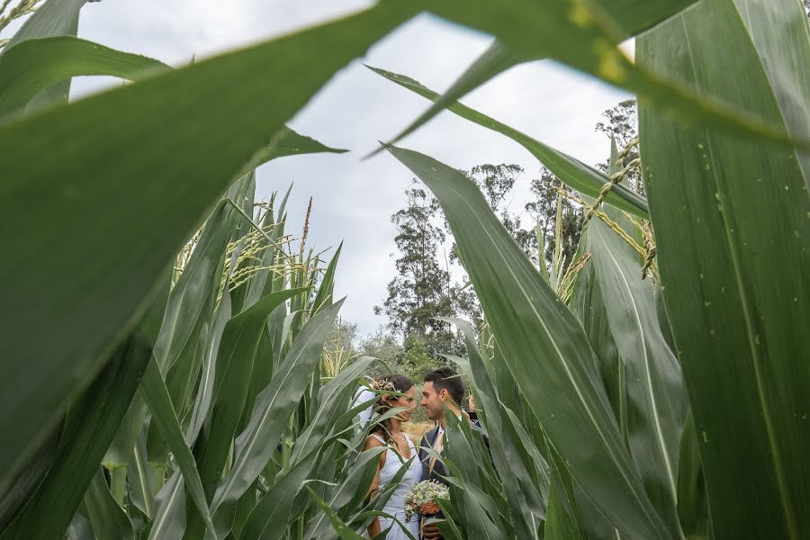 Fotograful de nuntă Nuno Lopes (nunolopesphoto). Fotografia din 16 iulie 2019