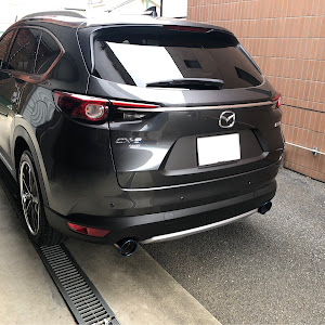 CX-8