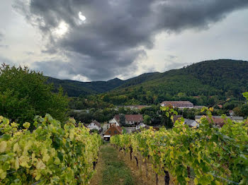 terrain à Kaysersberg (68)