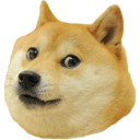 DogeCam