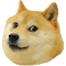 Item logo image for DogeCam