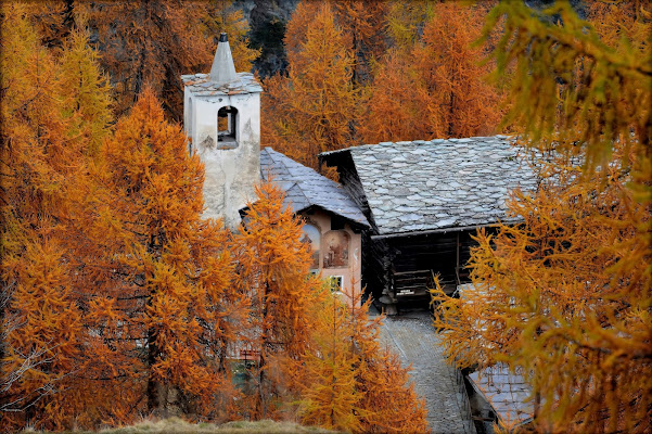 Quella chiesetta nel bosco di gigidueelle