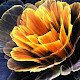 Download Animated Flower Live Wallpaper Theme Background For PC Windows and Mac 66.02