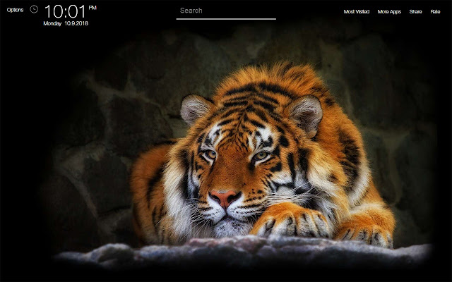 Tiger Wallpapers HD New Tab