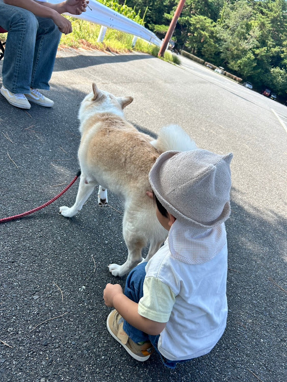 ヴィッツの岡山・鷲羽山・椅子出してのんびり時間・犬🐶孫👶tune・workwheelsに関するカスタム事例の投稿画像14枚目
