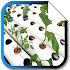 Easy Hydroponic Tutorials1.0