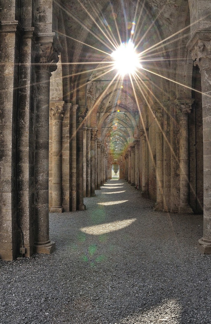 Raggi in San Galgano di ottantuno