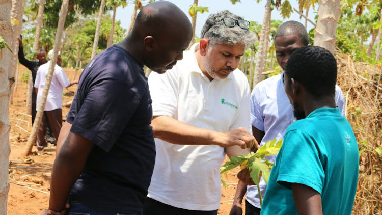 The Centre for Agriculture and Bioscience International (Cabi) official Abdul Rehman (centre) during training in 2022.