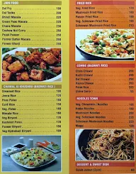 Anand Pure Veg Family Restaurant menu 4