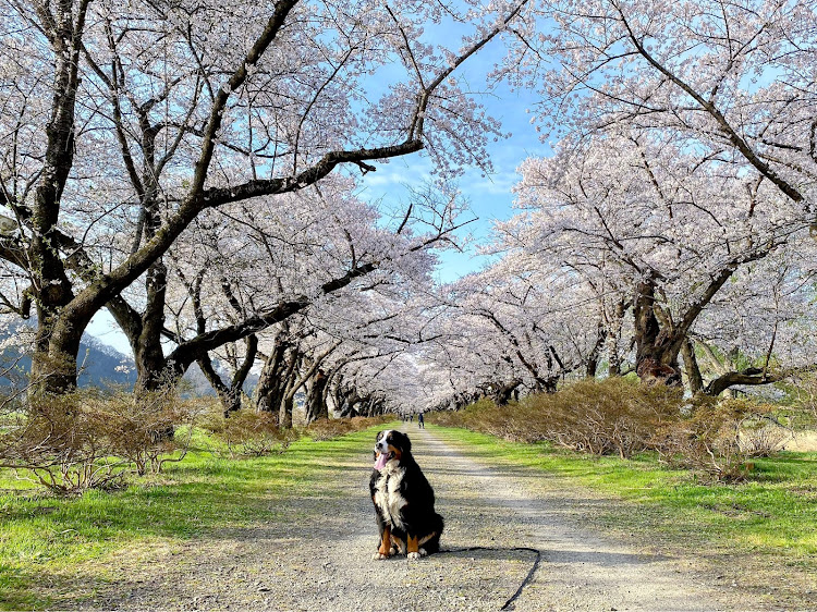 の投稿画像11枚目