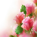 Pink Roses Puzzle Chrome extension download