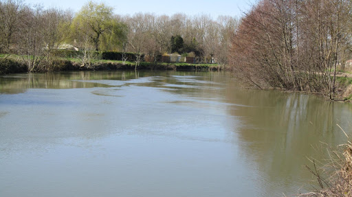 The river Sèvre Niortaise in Marais Poitevin
