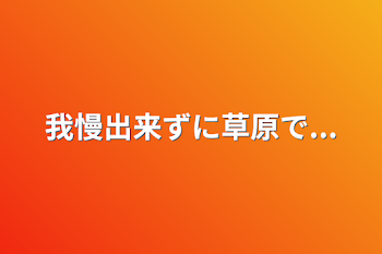 我慢出来ずに草原で...