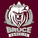 Be Bruce icon