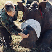 Princess Charlene of Monaco comforts a rhino that has been dehorned to protect it from poachers.