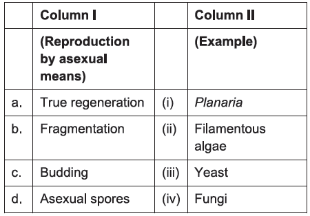 Asexual Reproduction