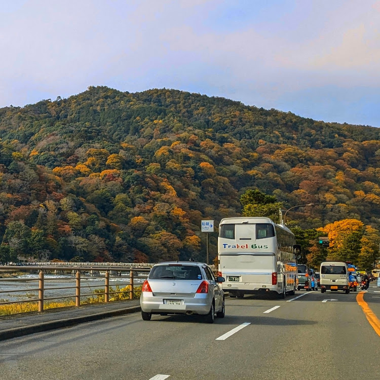 GRヤリスの紅葉・嵐山・京都・愛宕山・化野念仏寺に関するカスタム事例の投稿画像2枚目