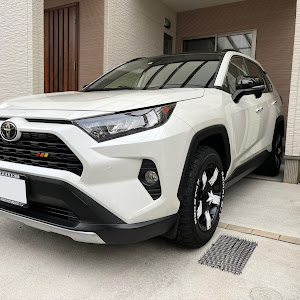 RAV4 MXAA54