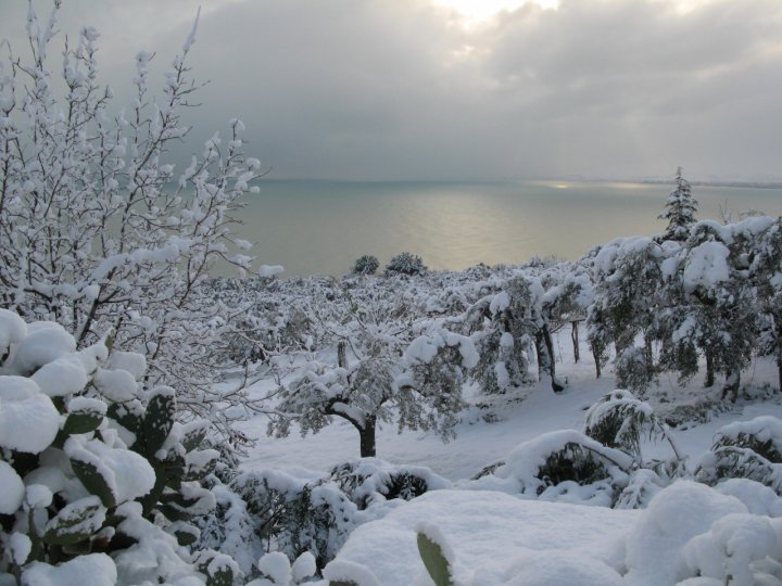 Natura Innevata... di Nardizzi