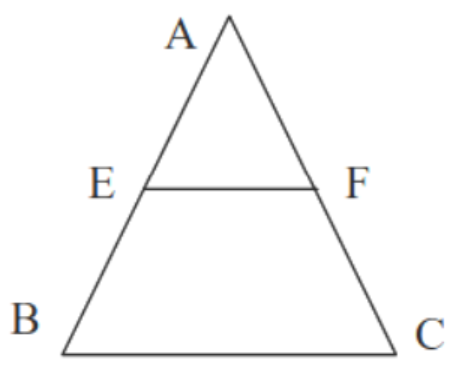 Quadrilaterals and its Types with Properties