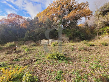 terrain à Saint-Paul-Trois-Châteaux (26)