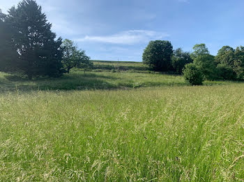 terrain à Lunay (41)