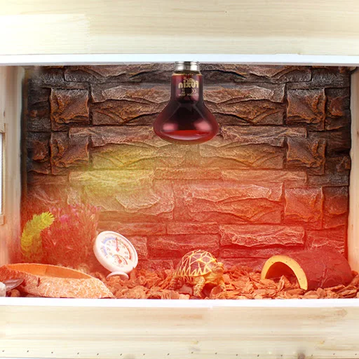 images slider number - 4