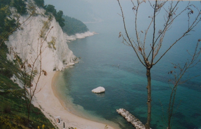 Bianco nel verde di MARGIE