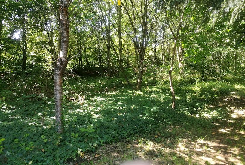  Vente Terrain à bâtir - 11 000m² à Hambers (53160) 