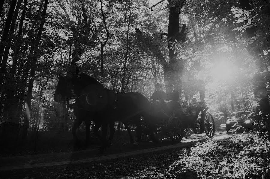 Pulmafotograaf Władysław Wojciechowski (vladwojciech). Foto tehtud 18 september 2018