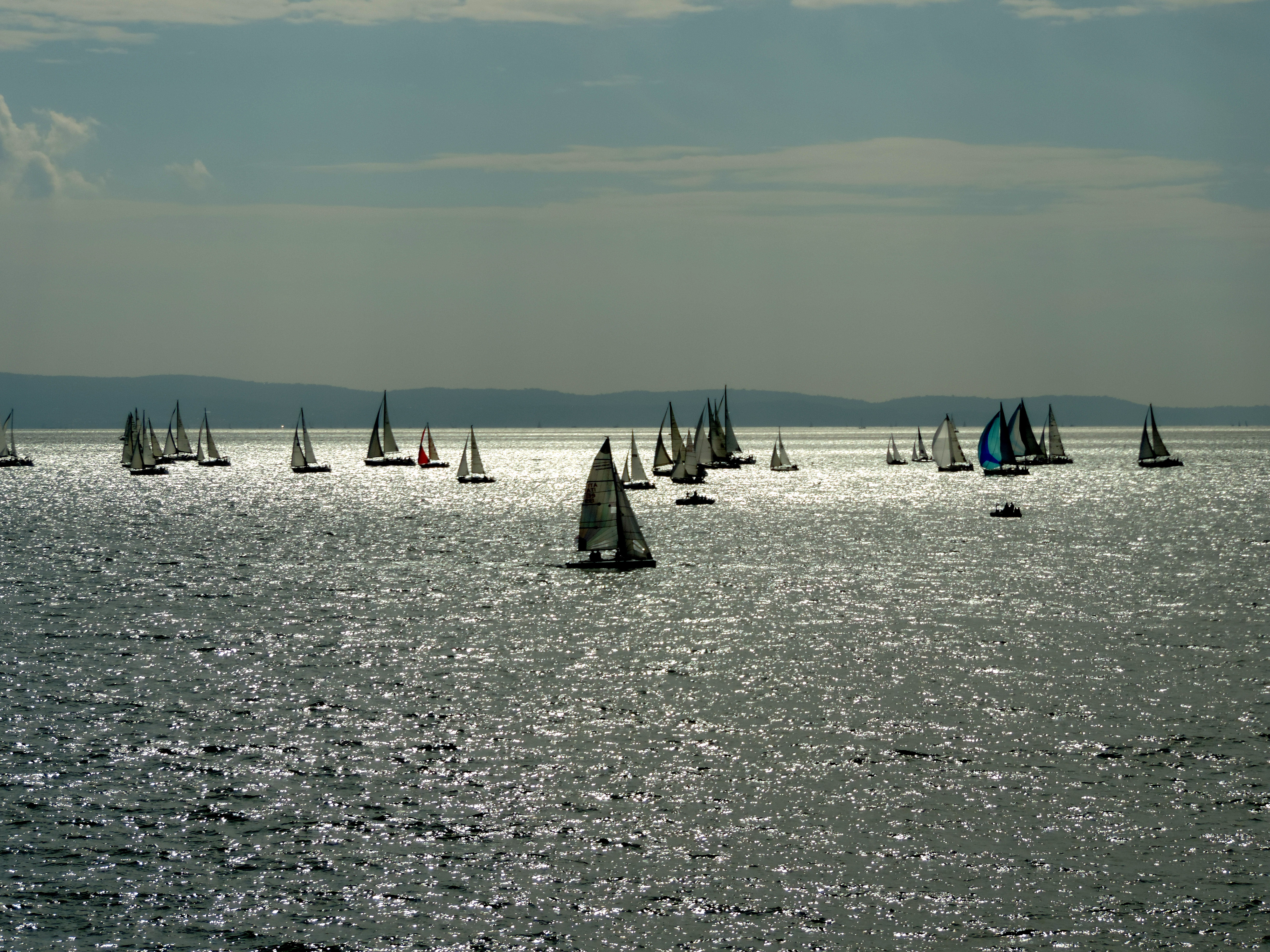 barcolana di renzo brazzolotto