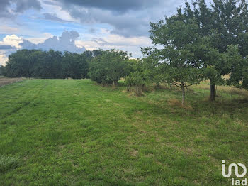 terrain à Vendegies-sur-Ecaillon (59)