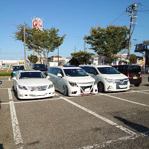 LS UVF45