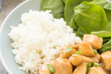 Slow Cooker Honey Lemon Chicken Recipe + VIDEO