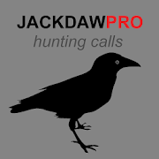 Jackdaw Calls for Hunting  Icon