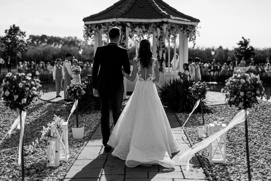 Wedding photographer Zoltán Tarnavölgyi (tarnafoto). Photo of 15 January 2020