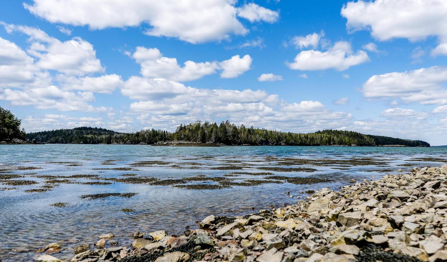 Terrain Lubec