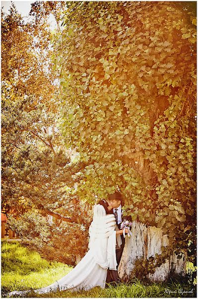 Fotografo di matrimoni Yuriy Schapov (jam-sakh). Foto del 25 novembre 2013