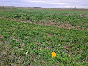 terrain à Champigny en Rochereau (86)