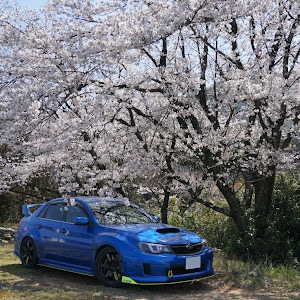 インプレッサ WRX STI GVB